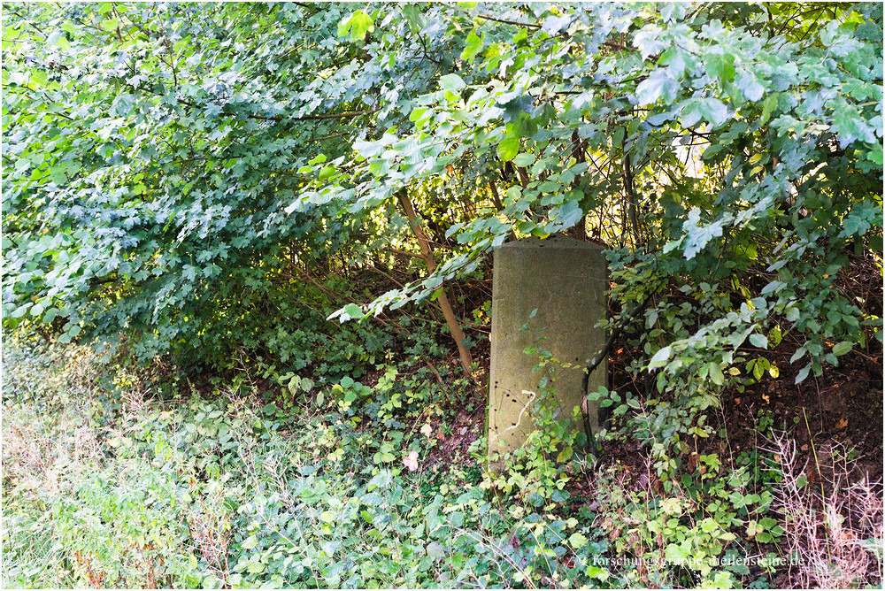 Lippischer Ganzmeilenstein Blomberg 