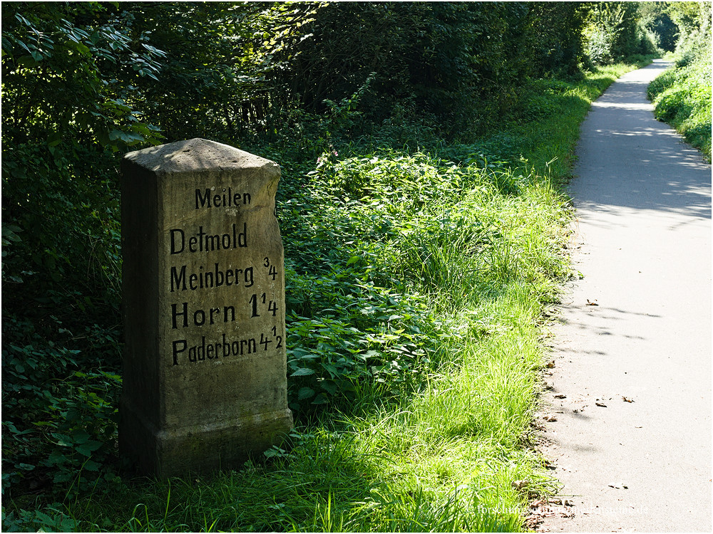 Lippischer Ganzmeilenstein Nessenberg