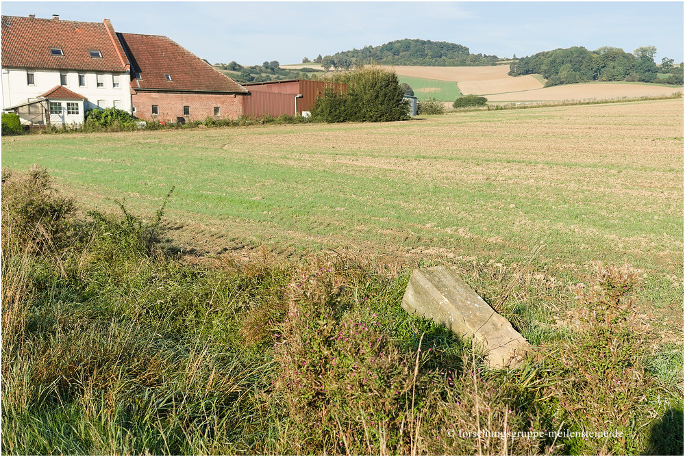 Lippischer Meilenstein Sonneborn