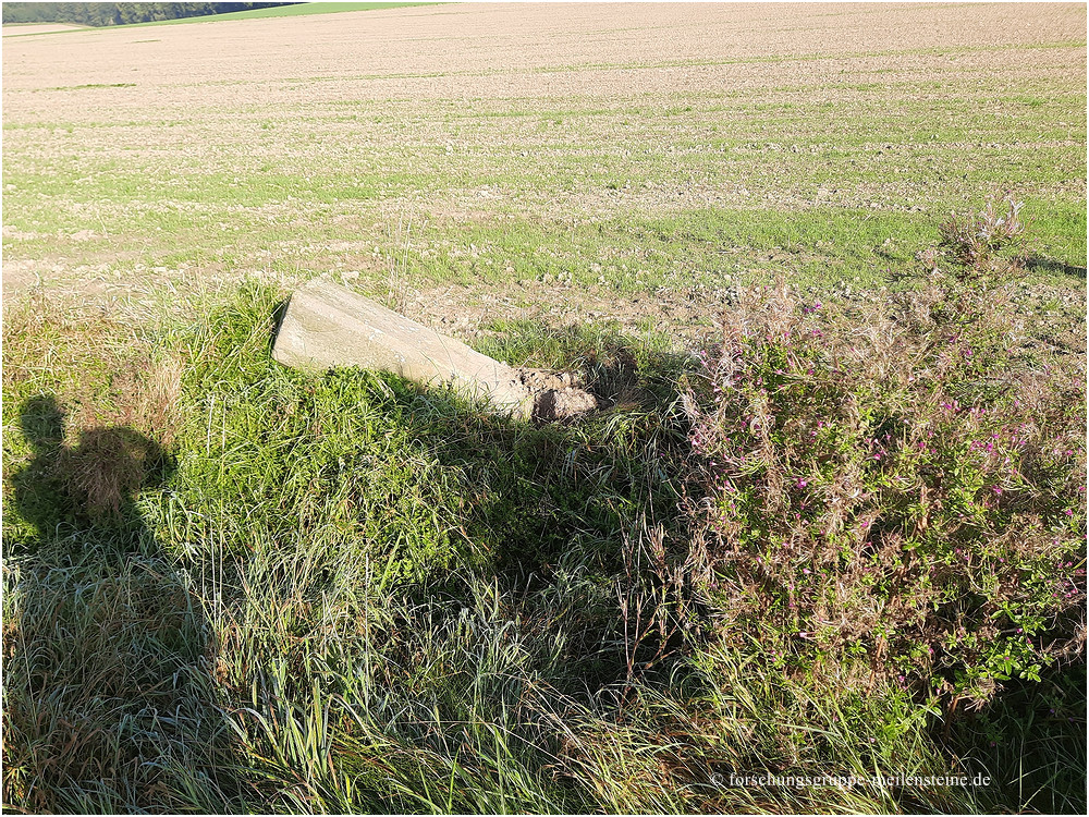 Lippischer Meilenstein Sonneborn