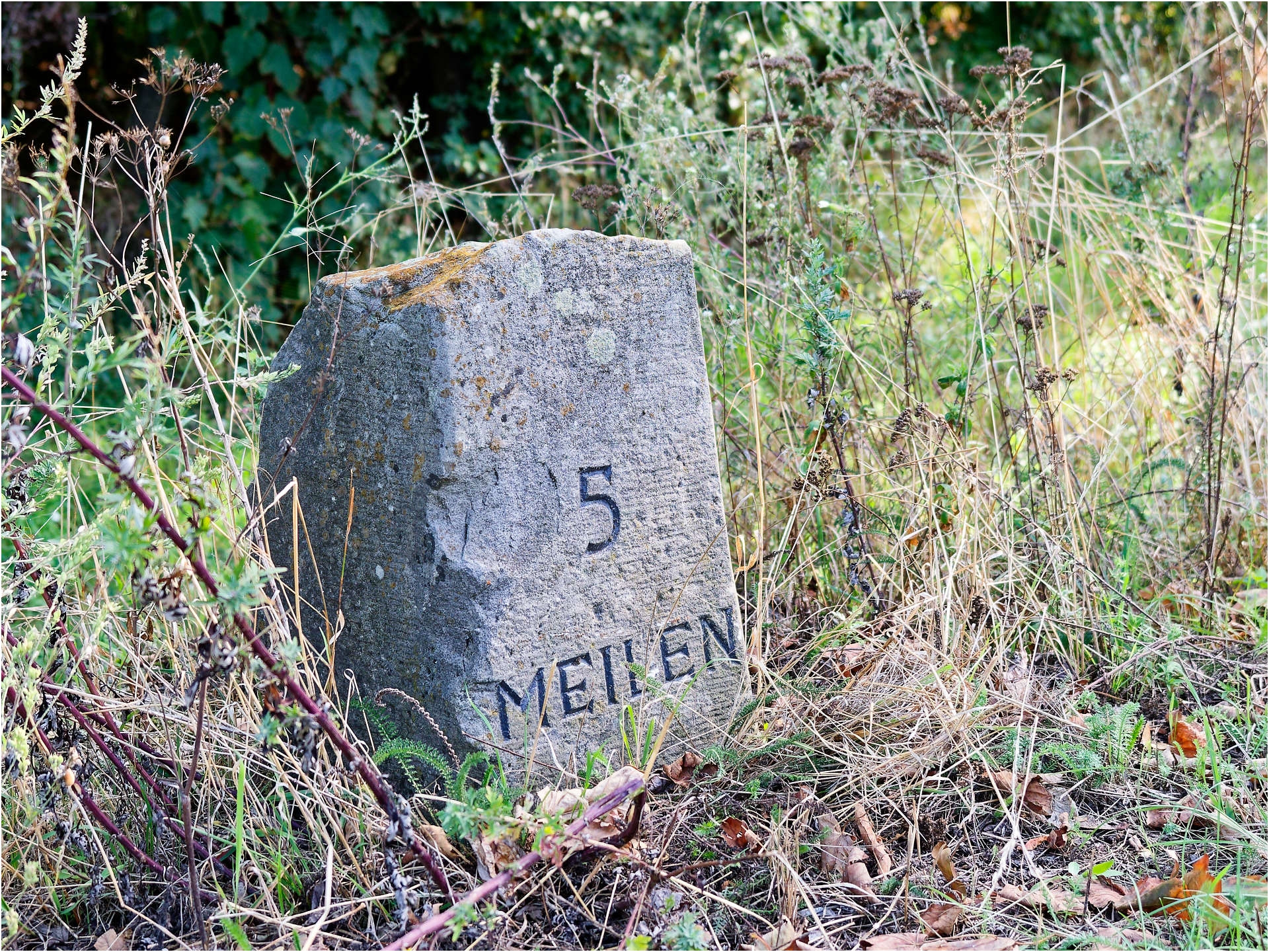 5 Meilen