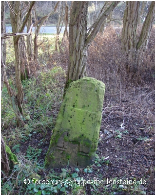 Viesen Meilenstein