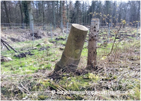 Meilenstein Altenhausen