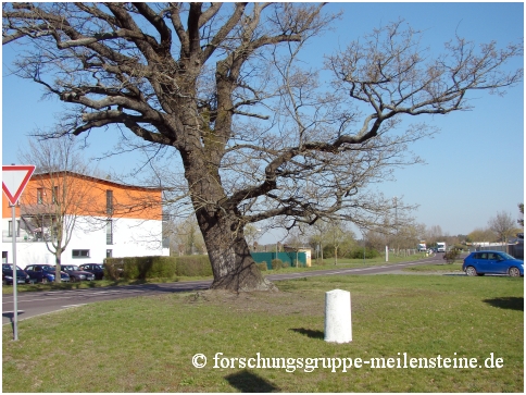 Preußischer Rundsockerstein Wahlitz