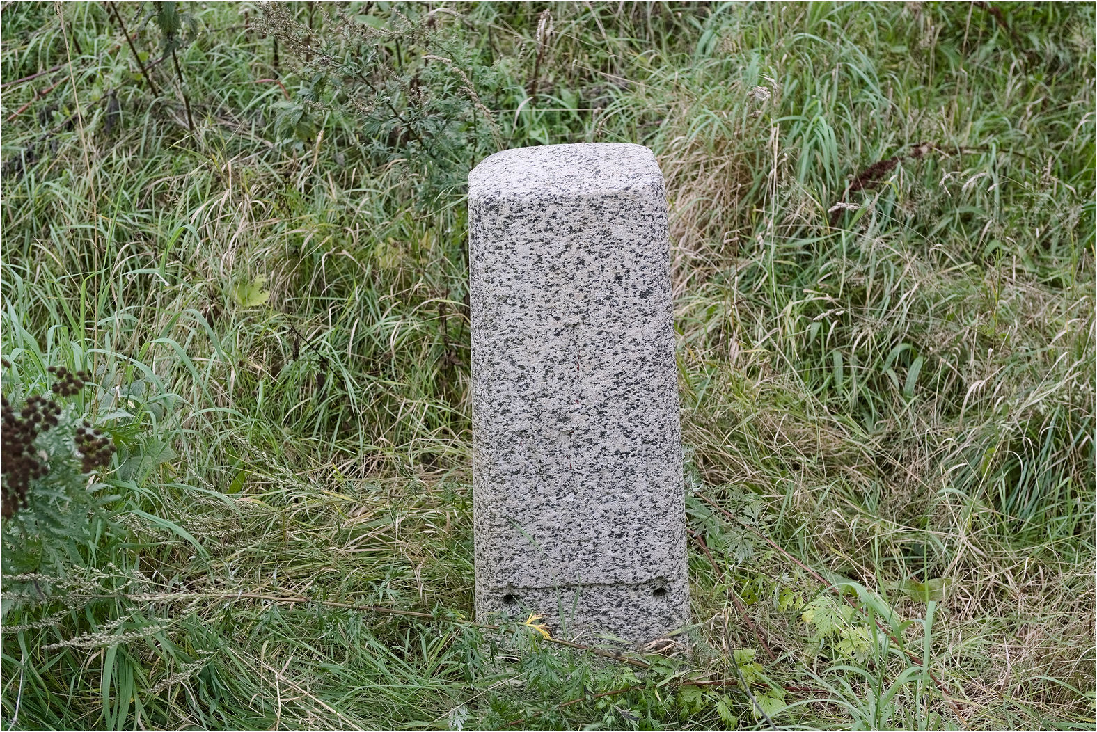 Schleswiger Ganzmeilenstein Kruså (Krusau)                 