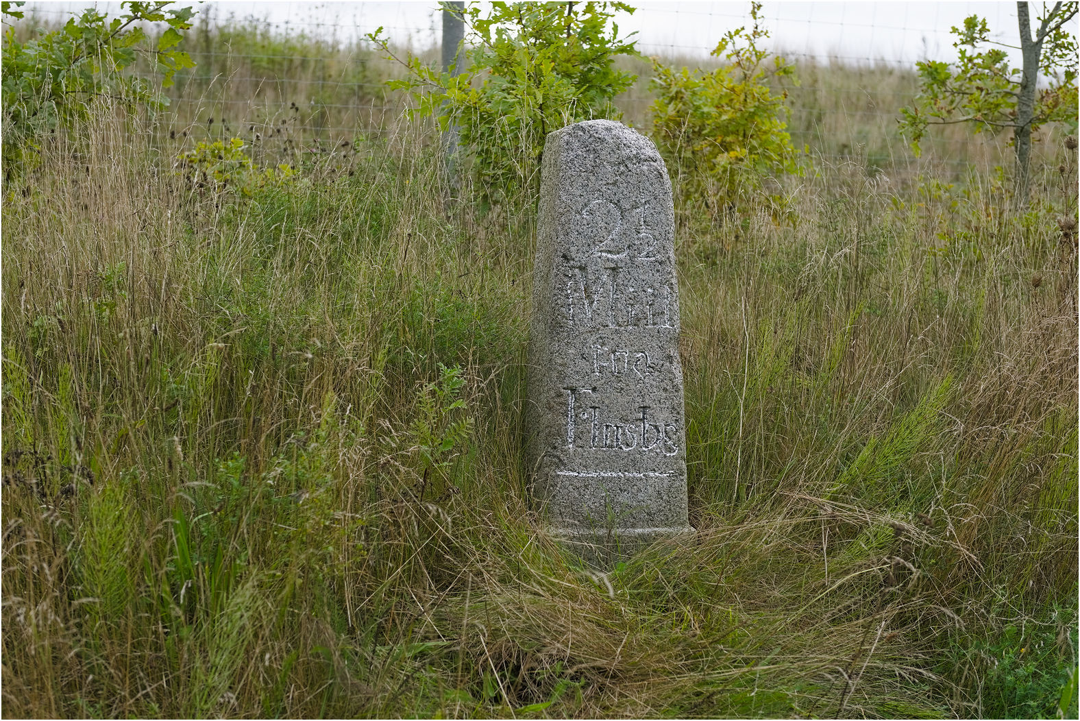 Schleswiger Halbmeilenstein Søgård (Seegaarden)                 