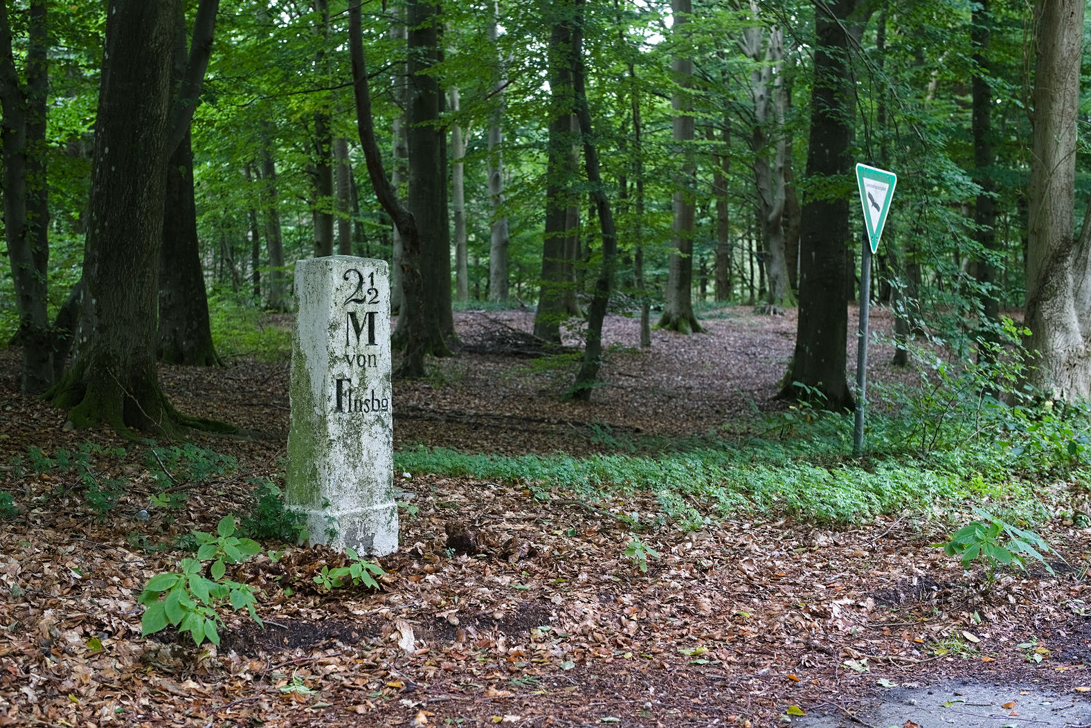 Schleswiger Halbmeilenstein Idstedtwege/Arenholzfeld                 