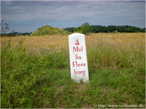 Schleswiger Ganzmeilenstein Nybol (Nübel)