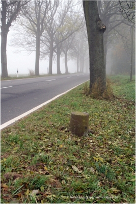 Preußischer Rundsockelstein Schollene