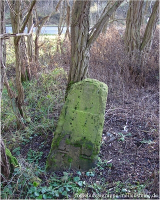 Preußischer Ganzmeilenstein Viesen
